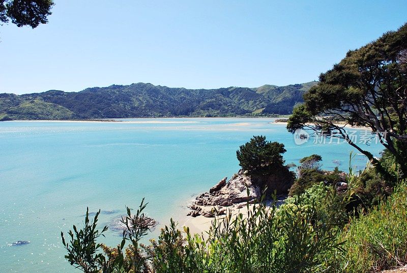 Wainui湾，Abel Tasman国家公园，塔卡，金湾，新西兰